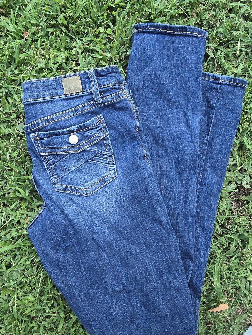 Daytrip Virgo Straight Jeans